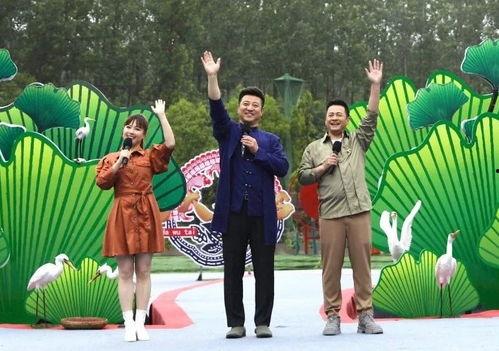 托马内鬼爆料视频大全最新,揭秘娱乐圈不为人知的秘密  第3张